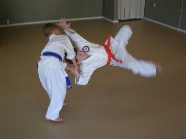 Martial Arts for Teens and Children